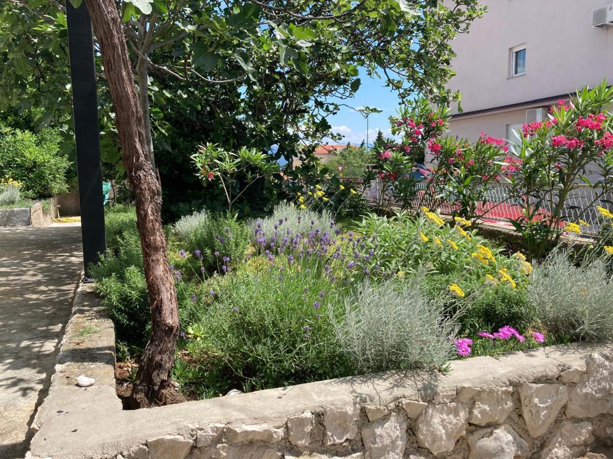 Apartman Vitamare 160 M From The Beach Novi Vinodolski Exterior foto